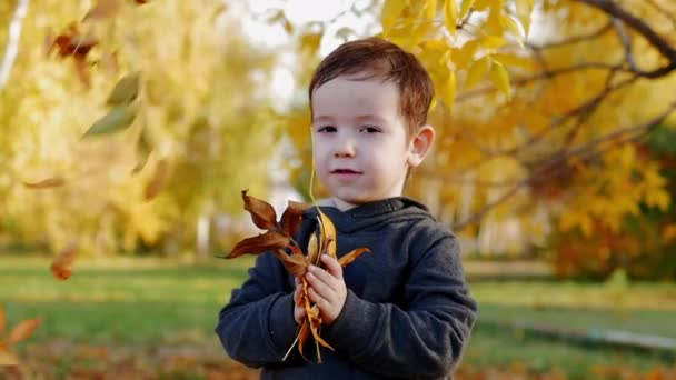 Marzenie Dzieciństwa Dziecko Bawi Się Jesiennymi Liśćmi Parku Koncepcja Dziecięcego — Wideo stockowe