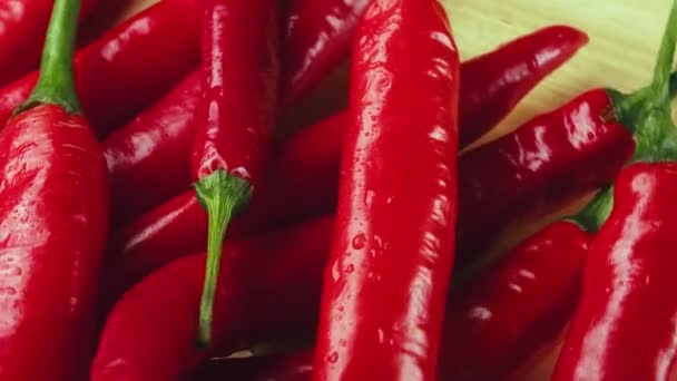 Ώριμες Κόκκινες Καυτερές Πιπεριές Τσίλι Είναι Μια Γαστρονομική Απόλαυση Και — Αρχείο Βίντεο