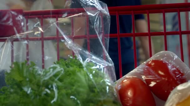 Frau Schiebt Einen Einkaufswagen Einem Supermarkt Warenkorb Mit Nahaufnahme Lebensmittel — Stockvideo