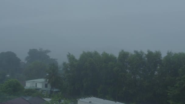 Wiatr Burzy Deszczowej Zła Pogoda Burza Miasta Silny Deszcz Deszcz — Wideo stockowe