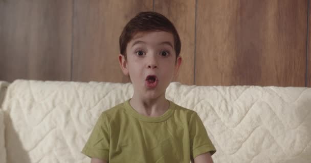 Retrato Menino Engraçado Criança Sorridente Olhando Para Câmera Sentado Sofá — Vídeo de Stock