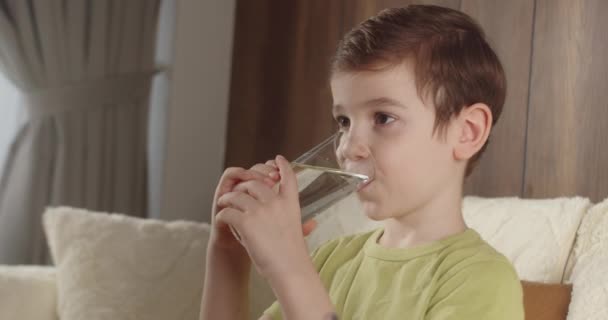 Menino Bonito Bebendo Vidro Fresco Transparente Pura Água Mineral Filtrada — Vídeo de Stock
