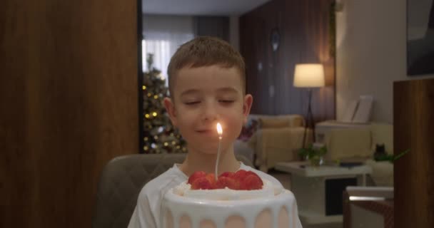 Portret Szczęśliwego Dziecka Śliczny Chłopczyk Zamkniętymi Oczami Życzący Sobie Tortu — Wideo stockowe