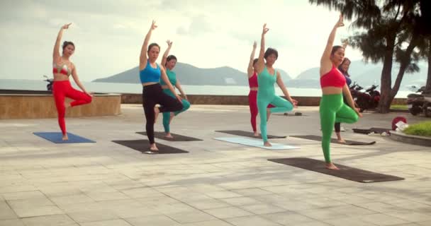 Yoga Class Στο Ηλιοβασίλεμα Χαρούμενη Ποικιλόμορφη Ομάδα Νέων Και Ηλικιωμένων — Αρχείο Βίντεο