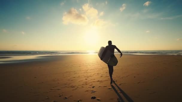 Silueta Sexy Štíhlé Samice Běžící Psem Vlnách Pobřeží Kráčející Teplé — Stock video