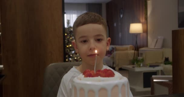 Portret Szczęśliwego Dziecka Śliczny Chłopczyk Zamkniętymi Oczami Życzący Sobie Tortu — Wideo stockowe