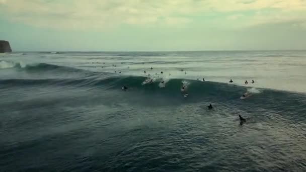 Συνταξιούχος Αθλητής Surfs Θάλασσα Surfing Θάλασσα Τρόπο Ζωής Extreme Sports — Αρχείο Βίντεο