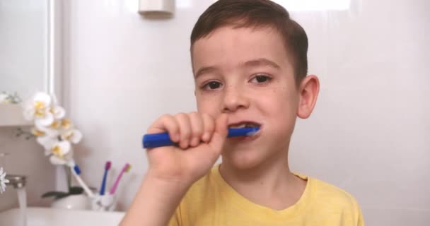 Portrait Happy Cute Young Little Boy Brushing Teeth Bathroom Smiling — Stock Video