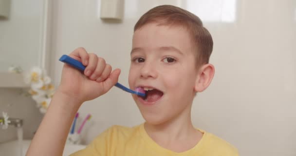 화장실에서 치아를 귀여운 초상화와 어린이 치아를 아이는 집에서 거울을보고 라이프스타일 — 비디오