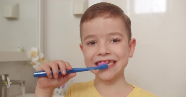 肖像画快乐可爱的小男孩在浴室刷牙 微笑着 儿童日常保健活动 白色牙齿的白人小孩看着家里隔离的镜子 生活方式 — 图库视频影像