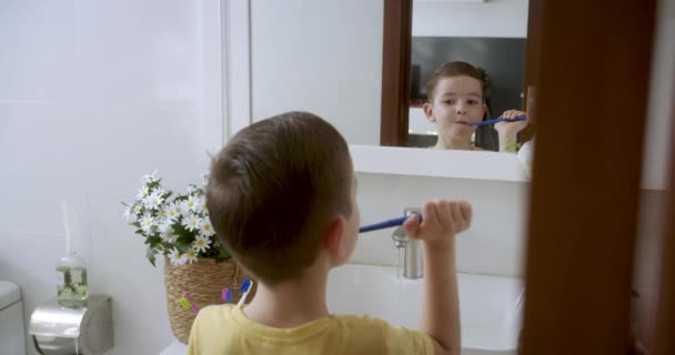 치아와 귀여운 코카서스 집에서 거울을 라이프 스타일 화장실에서 치아를 귀여운 — 비디오