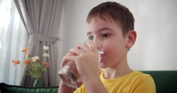 Bonito Menino Criança Água Mineral Alimentação Saudável Criança Tomando Café — Vídeo de Stock