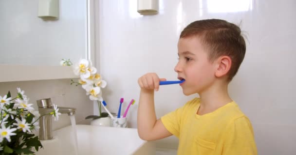 Anak Kaukasia Dengan Gigi Putih Melihat Cermin Yang Terisolasi Rumah — Stok Video