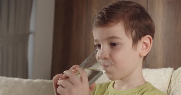 Handsome Child Boy Trinkglas Frisch Transparent Reines Gefiltertes Mineralwasser Hause — Stockvideo