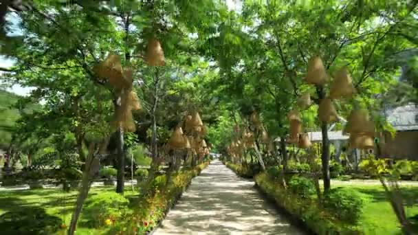 Park Dao Hoa Lai Nha Trang Vietnam Uralter Historischer Komplex — Stockvideo