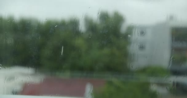 Regen Fällt Bei Einem Sommerschauer Schlagen Große Regentropfen Gegen Eine — Stockvideo