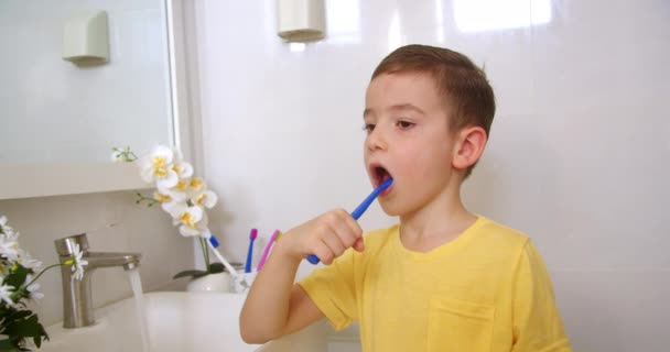 치아를 아이는 집에서 거울을보고 라이프 스타일 화장실에서 치아를 귀여운 초상화와 — 비디오