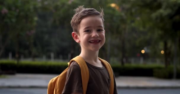 肖像幸せな学校の少年 笑顔の学校の少年 リュックを持つ小さな男の子のハンサムな 単独で日当たりの良い通りの屋外に立って かなり顔の小学校1年生4 — ストック動画