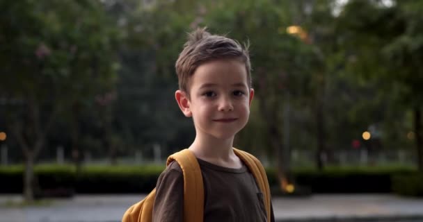Симпатичный Ребенок Показывает Большие Пальцы Вверх Жест Счастливое Выражение Лица — стоковое видео