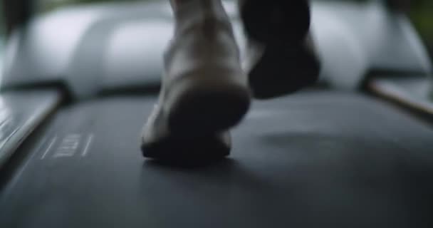 Spor Ayakkabıları Kadın Kaslı Bacakları Kapalı Spor Salonunda Koşu Bandında — Stok video