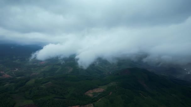 Воздушный Дрон Красивой Тропической Долины Между Горами Первые Лучи Восходящего — стоковое видео