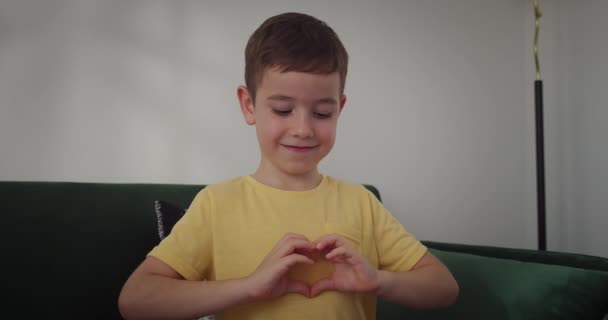 Knappe Europese Gelukkige Kleine Jongen Schattig Kind Gezicht Schattig Jongen — Stockvideo
