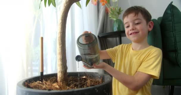 Милый Ребенок Распыляет Листья Чехла Подвешенном Горшке Заботясь Внутреннем Саду — стоковое видео