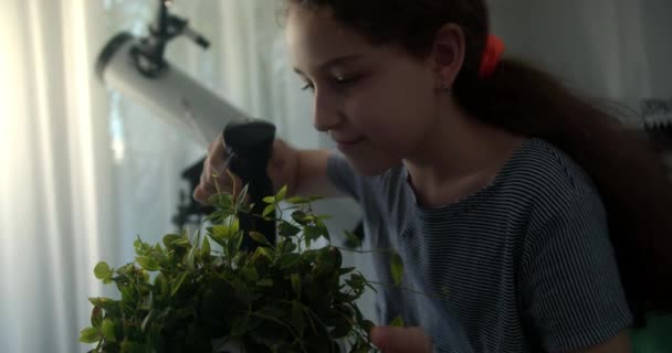 Jonge Vrouw Sproeien Bladeren Van Kamerplant Opknoping Pot Terwijl Het — Stockvideo