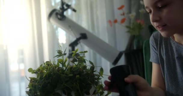 Молодая Женщина Распыляющая Листья Чехла Подвешенном Горшке Заботясь Домашнем Саду — стоковое видео