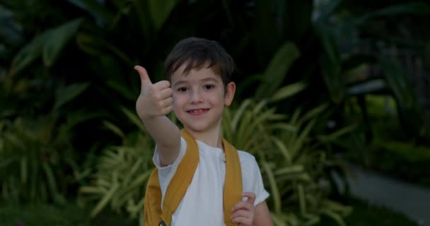 초상화 잘생긴 행복한 배낭을 햇볕이 거리에 아이는 엄지손가락을 보여줍니다 4K는 — 비디오