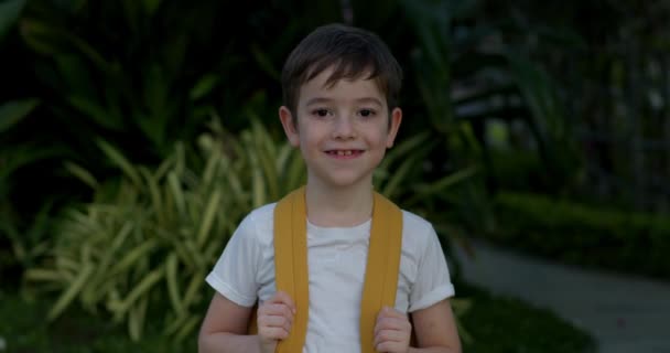 ハッピースクールの少年 笑顔の学校の少年 バックパックを持った小さな少年 屋外の日当たりの良い通りに一人で立って ハンサムな顔小学生4 Kの肖像画 — ストック動画