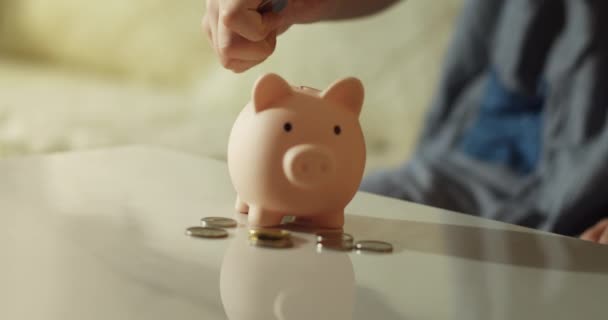 将硬币抛进储蓄罐的特写镜头 金融和商业安全 小猪银行里的硬币象征着银行的安全 财政储蓄存于银行 商业和金融安全概念 — 图库视频影像