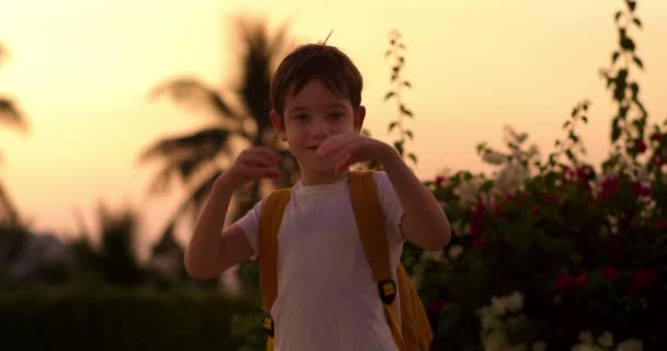 초상화 잘생긴 사랑스러운 아이는 모양을 만드는 손가락을 클로즈업 소중한 양육의 — 비디오
