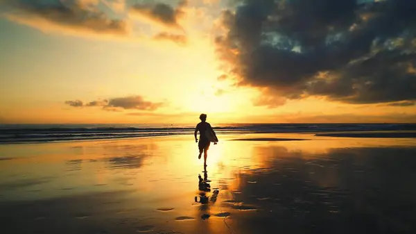 Sıcak okyanus sularında turuncu bir yaz günbatımında yürüyen, deniz kıyısında bir köpekle koşan seksi, ince kadın silueti. Pelerinli seksi, baştan çıkarıcı siluet kız köpekle yürüyor.