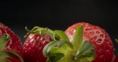 Çilekli makro shot 'ı kapat. Kocaman, taze, parlak kırmızı, sulu bir çilek, bir damla su. Siyah arka planda taze çilek taze hasat. Çilek, kırmızı sulu olgun çilek, Yakın