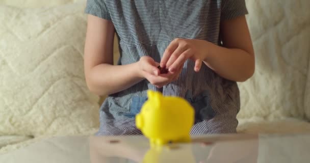 Mãos Criança Acumulam Moedas Instaladas Banco Piggy Conceito Negócio Feliz — Vídeo de Stock