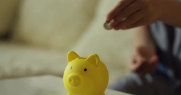 孩子把他的钱记在账上 存进储蓄罐里 女学生把硬币扔进粉红色的储蓄罐里 小猪银行里的硬币象征着银行的安全 财政储蓄 经济保障中的儿童 — 图库视频影像