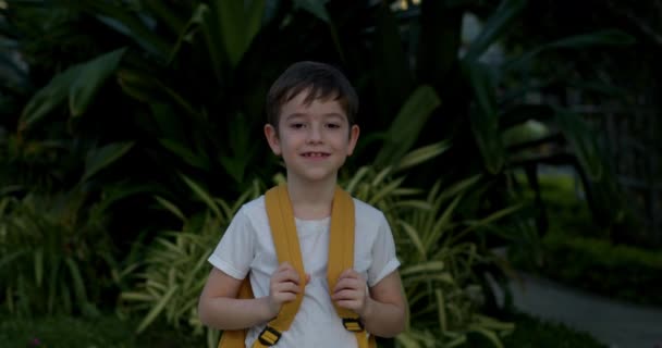 Portret Pięknego Szczęśliwego Ucznia Uśmiechniętego Ucznia Małego Chłopca Plecakiem Stojącego — Wideo stockowe