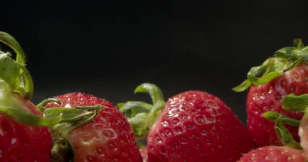 关闭草莓宏观拍摄 巨大的新鲜美丽的鲜红多汁草莓在水滴中 新鲜草莓在黑色背景上新鲜收获 红色多汁成熟草莓 — 图库视频影像