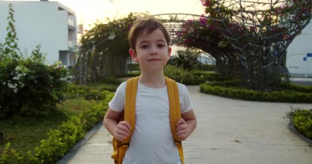 Porträt Eines Glücklichen Schuljungen Eines Lächelnden Schuljungen Eines Kleinen Jungen — Stockvideo