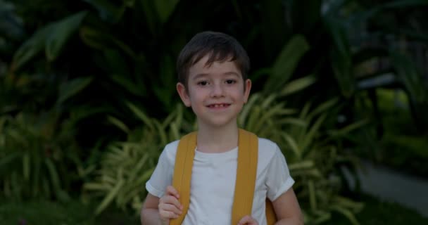 Портрет Красивого Щасливого Школяра Усміхненого Школяра Маленького Хлопчика Рюкзаком Стоїть — стокове відео