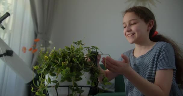 Genç Bir Kadın Bahçesiyle Ilgilenirken Saksıya Yaprak Sıkıyor Tarım Damlaları — Stok video