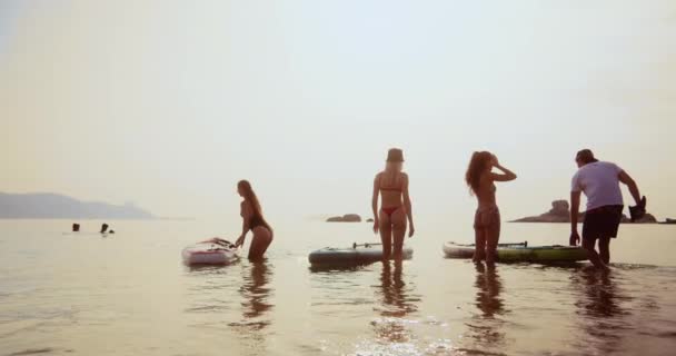 수영복을 소녀들은 해변을 바다를 베트남에서 사파를 파도에 바다에서 바다에서 베트남 — 비디오