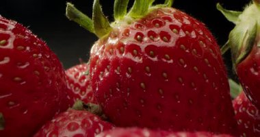 Çilek, Kırmızı Sulu Olgun Çilek, Yakın plan, Lezzetli Yaz Meyveleri. Taze Hasat Çilekleri 'nin geçmişi. Sağlıklı Doğal Vegan Gıda Konsepti.