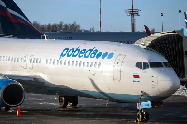 Petersburg Mar Mart Pulkovo Havaalanında Pobeda Havayolu Logotype Boeing 737 — Stok fotoğraf