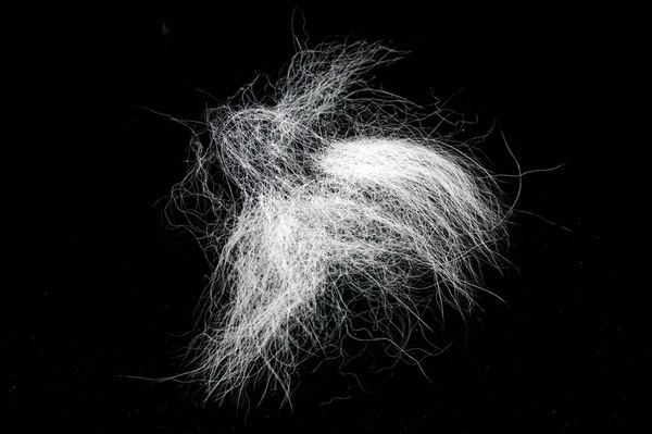 白い毛皮の凝灰岩 黒で隔離されたヒープ灰色の髪の動物の毛 トップビュー — ストック写真