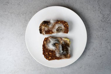 Tarihi geçmiş ekmek üzerindeki küf