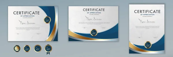 Plantilla Certificado Diploma Logro Desplazarse Elegante Lujo Editable Azul Oro — Vector de stock