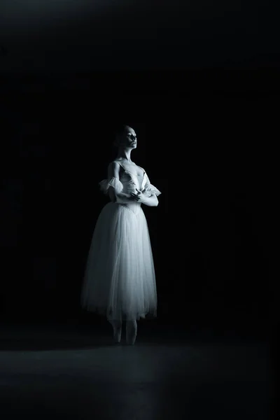 Profesionální Balerína Taneční Balet Profesionální Balerína Taneční Balet Ballerina Bílých — Stock fotografie