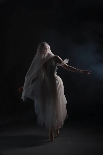 Професійний Балериновий Танцювальний Балет Темний Фон Вуаль Сцена Продуктивність — стокове фото